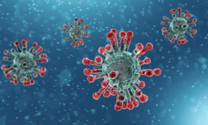 SCV GrubHub driver risks  health amid COVID-19 quarantine
