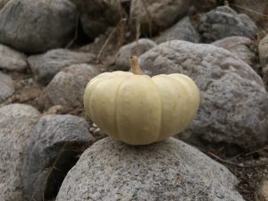 Associated Student Government offers clay modeling session for Halloween