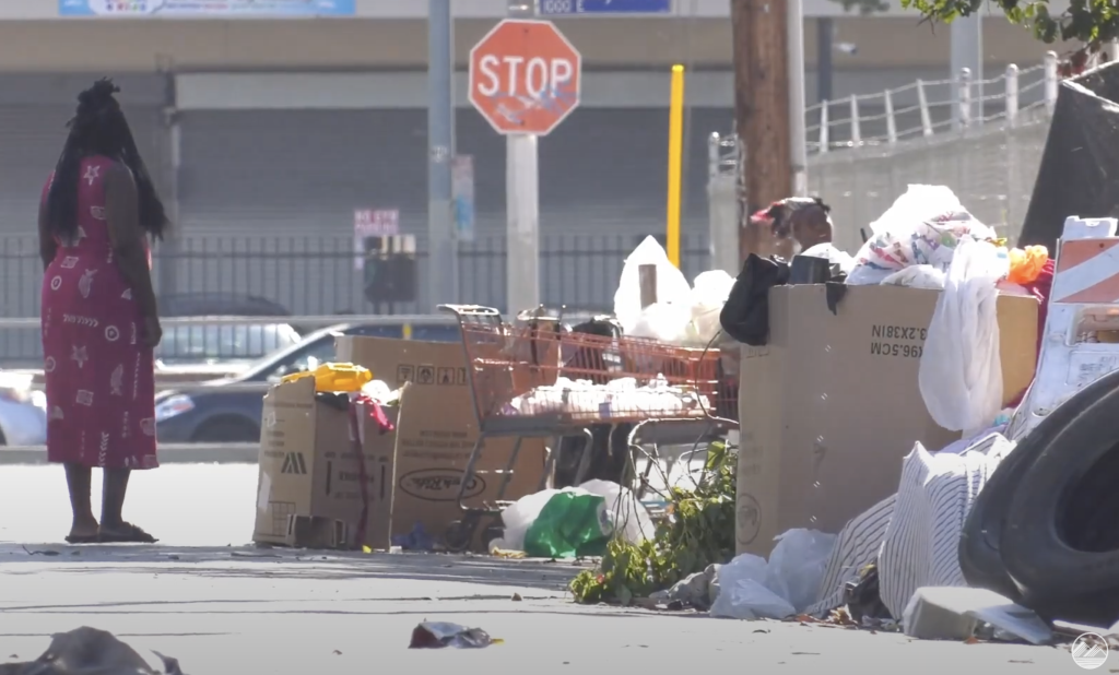 LAPD and Bridge to Home shelter work to minimize homeless crisis