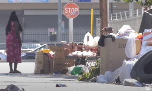 LAPD and Bridge to Home shelter work to minimize homeless crisis