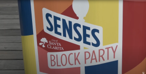 SENSES Event Effect on Local Business