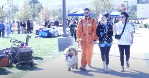 Canine companions packed the Canyon Country Community Center to “Bark for Life”