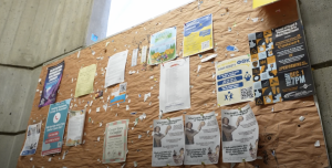 Posters in support of Israel are reportedly being ripped down from the walls of COC