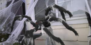 ‘Bar Harbor Scares’ the SCV with haunted, family-friendly fun