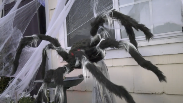 A giant fake spider jumping at people at Bar Harbor Scares