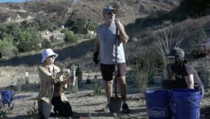 The ‘Wild land Weed Warriors’ are on a mission to pull weeds and plant hope