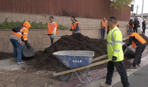 Saugus residents took an opportunity to go out and help city workers clean up the area