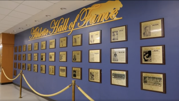 A wall display featuring numerous gold-framed plaques honoring inductees in the COC Athletics Hall of Fame. The wall is painted blue with "Athletic Hall of Fame" written in large, elegant gold lettering at the top, alongside the outline of a mascot or figure.