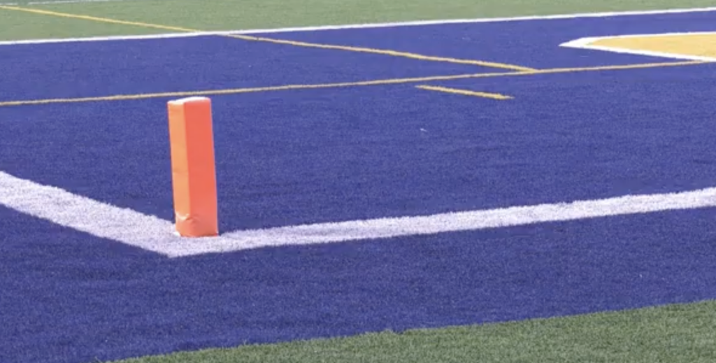 Los Angeles Council considers Artificial Turf ban; will Santa Clarita follow