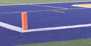 Los Angeles Council considers Artificial Turf ban; will Santa Clarita follow