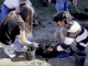 a COC student in black on the left helps another student in a brown and white striped shirt dig a hole in the ground for a small plant.