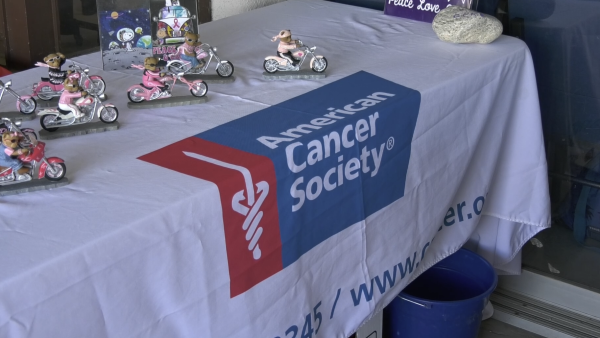 A close-up shot of a white table cloth with the American Cancer Society logo printed on a blue banner across the center. On the left side of the table, there are several small figurines of teddy bears dressed in pink and black riding silver motorcycles. The table is likely set up for a charity event.