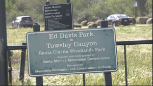 Santa Clarita adopts unusual wildfire prevention strategy: using goats to clear brush