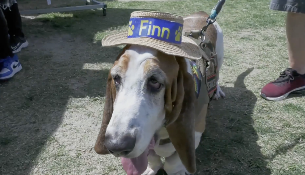 Finn the Therapy Dog and owners bring comfort to the SCV Community