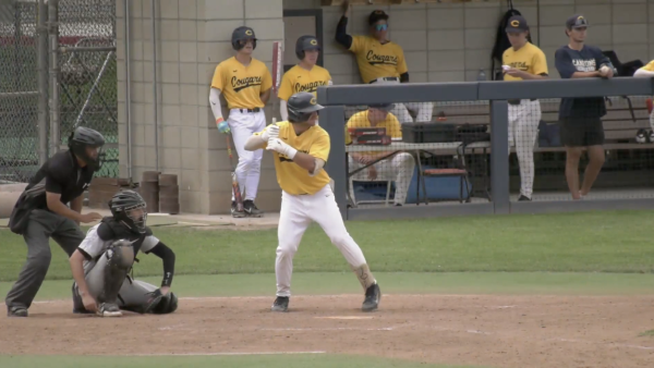 A baseball player in a yellow "Cougars" jersey and white pants stands at home plate, gripping a bat and preparing for a pitch. He wears a black helmet and a protective guard on his left shin. Behind him, a catcher in grey and black gear crouches in position, while an umpire in a black uniform stands ready to the left. In the background, several teammates in matching yellow jerseys and black hats watch from the dugout and the surrounding area. The game is being played on a dirt infield with a green grass outfield under bright, overcast daylight.