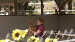 Puppy Bloom offered free adoptions to help animals find permanent homes