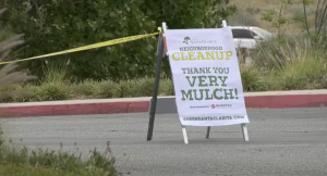 Santa Clarita volunteers collaborate for city cleanup