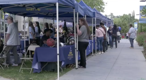 Discovery Day connects students with programs and future pathways